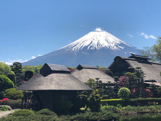 Mt. Fuji Day Tour from Ueno or Shinjuku with Oshino Hakkai & Kawaguchiko Park