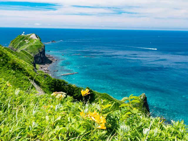 Hokkaido Day Tour to Cape Kamui and Shimamui Coast with Local Seafood Lunch