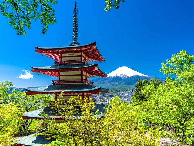 Mt. Fuji Day Tour from shinjyuku with Chureito Pagoda & Seasonal Views