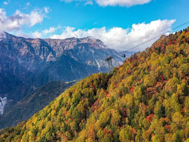 Okuhida Value Ticket: 2-Day Unlimited Bus Pass & Shinhotaka Ropeway Ticket