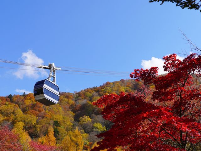 Okuhida Value Ticket: 3-Day Unlimited Bus Pass & Shinhotaka Ropeway Ticket