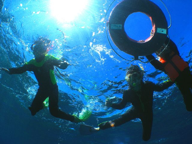Whale Watching Included (Jan–Mar) Kerama Boat Diving & Snorkeling Experience