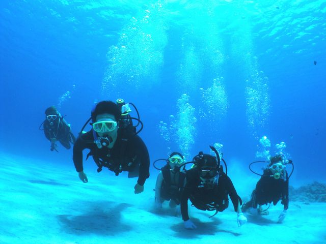 Kerama Boat Diving (2 Dives): A Scuba Diving Tour for Certified Divers