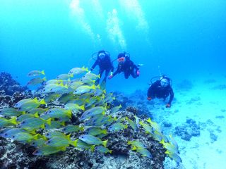 プラン説明写真1