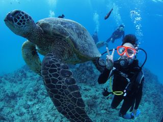 プラン説明写真1