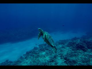 プラン説明写真1