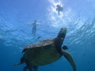 プラン説明写真1