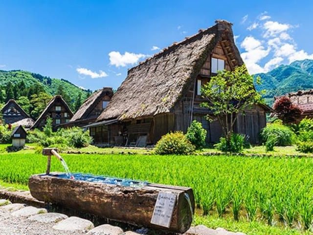 Takayama and Shirakawago Day Tour from Nagoya