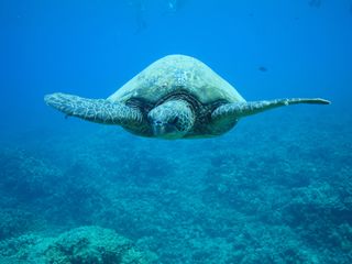 プラン説明写真1