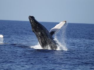 プラン説明写真1