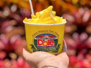 プラン説明写真1