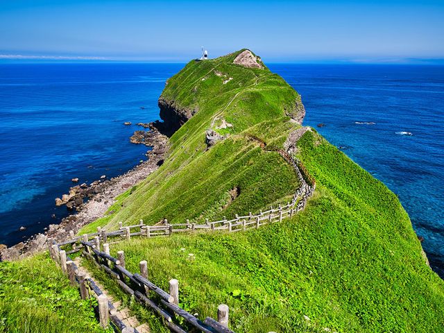 Sapporo Departure: 1-Day Bus Tour Shiroi Koibito Park, Otaru & Shakotan Cape Kamui