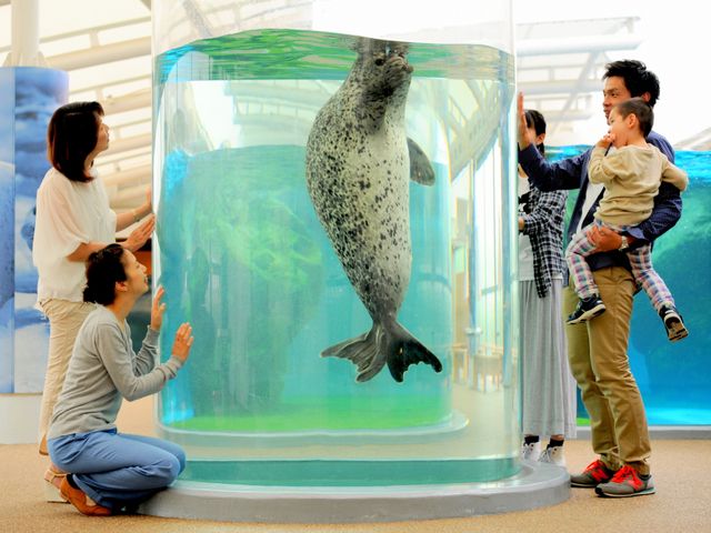 Advance Reservation for Kyoto Aquarium Admission Tickets