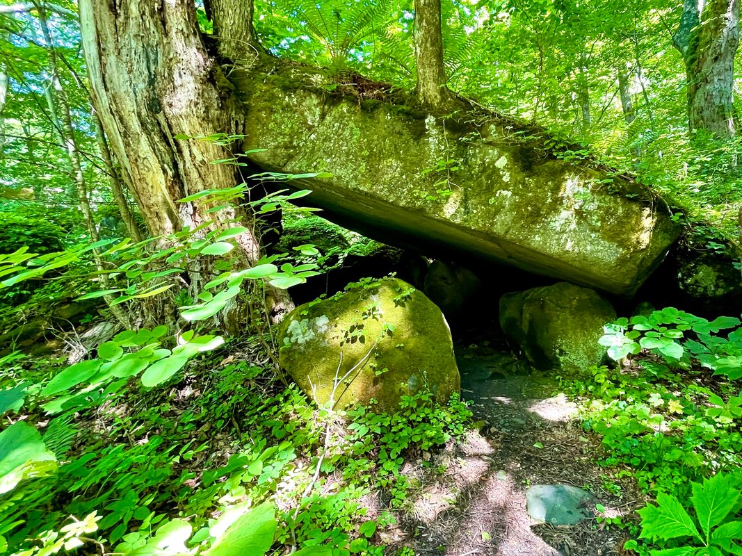 写真：奥入瀬渓流ネイチャーツアー JR青森駅・青森空港から無料送迎付き石ヶ戸〜雲井の滝 散策　初心者にもおすすめ散策コース！＜4月〜11月／半日／奥入瀬館集合可＞