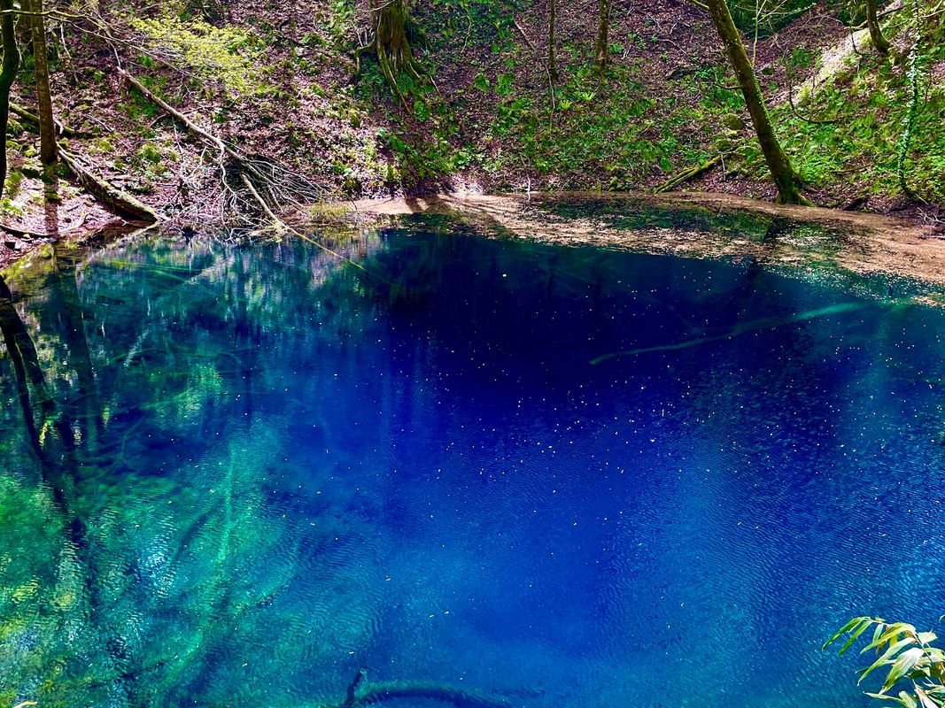 写真：十二湖ネイチャーツアー 世界自然遺産白神山地に位置する神秘的な湖を現地ガイドと巡るコース＜4月〜11月／深浦町＞