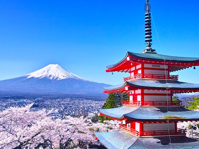 One-Day Bus Tour: Explore Mount Fuji, Oshino Hakkai, Hot Spring or Outlet