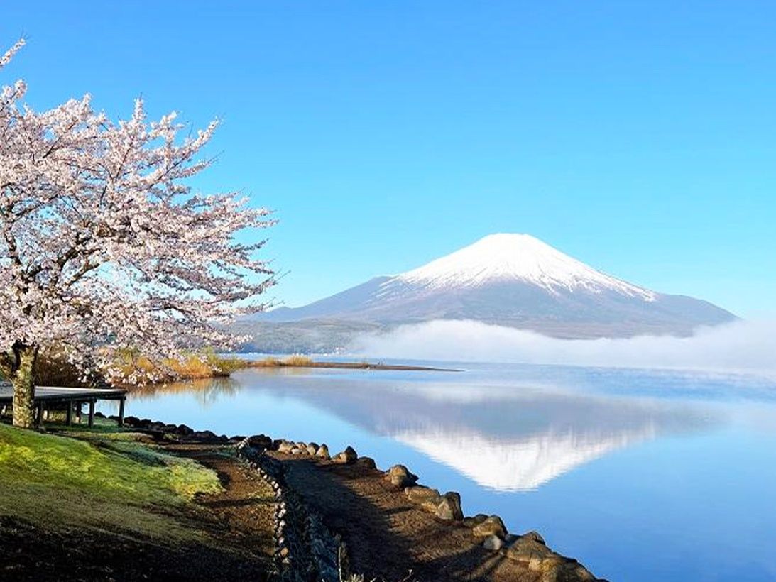 One-Day Bus Tour: Explore Around Mount Fuji | VELTRA