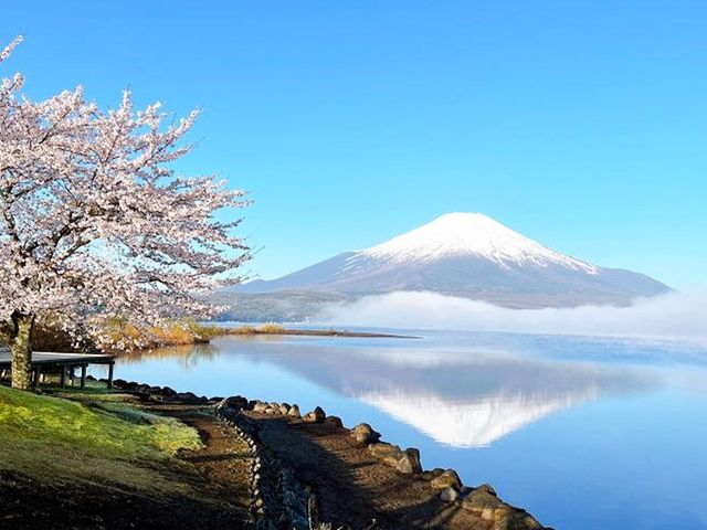 One-Day Bus Tour: Explore Around Mount Fuji, Kawaguchi Lake, and Lake Yamanaka