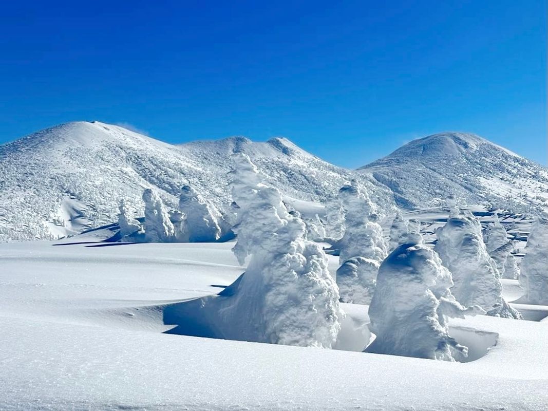 写真：八甲田 樹氷スノーシューツアー 青森市内各ホテル・JR青森駅から無料送迎付き　白銀の世界をスノーシューで散策！＜半日／12月〜3月／ロープウェイ山麓駅集合可＞