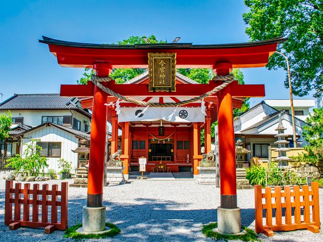 Chichibu Power Spot Walking Tour: Visit Springs and Giant Trees w/ a Local Guide