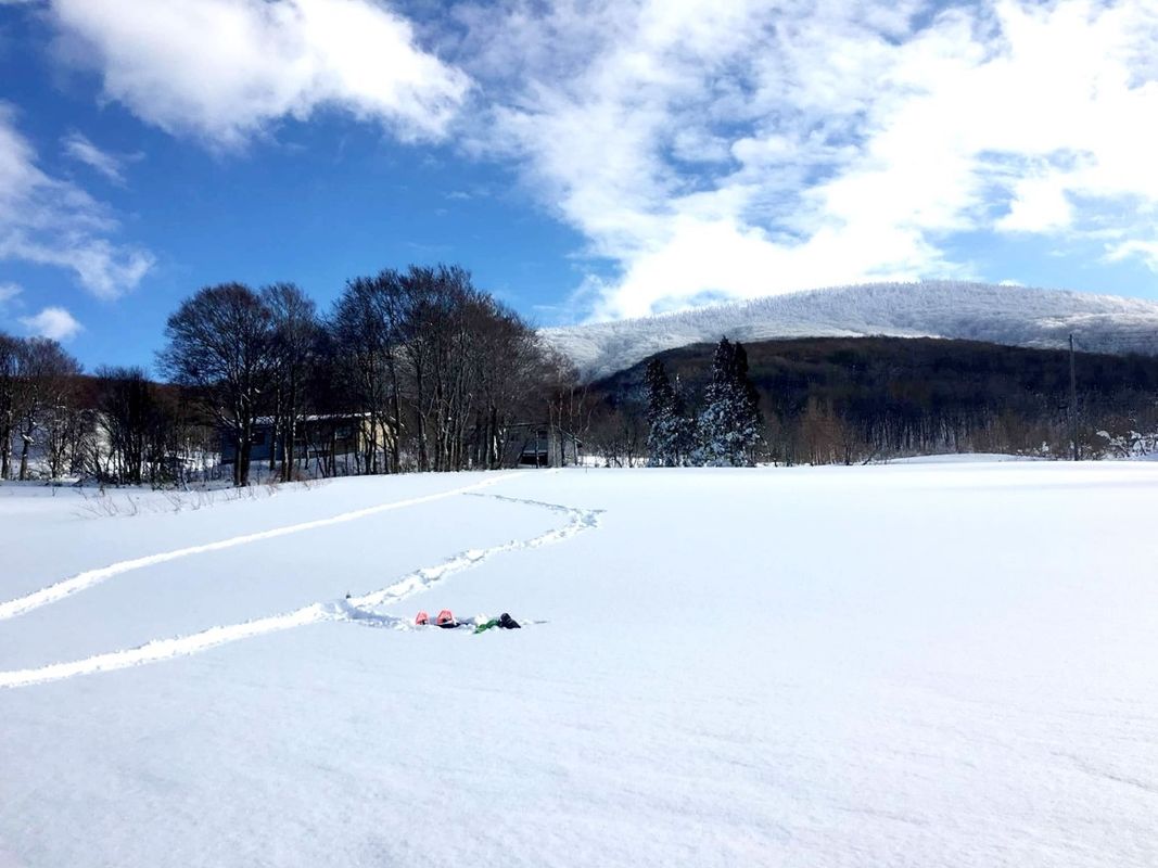 写真：酸ヶ湯温泉発着八甲田山山麓スノーシューツアー JR青森駅・青森市内から無料送迎付き　白銀の世界をスノーシューで散策！＜12月〜4月／酸ヶ湯温泉集合可＞