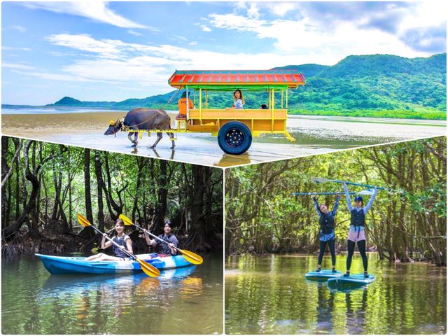 Mangrove SUP or Canoe or Barasu Island Snorkeling + Yubu Island Sightseeing.