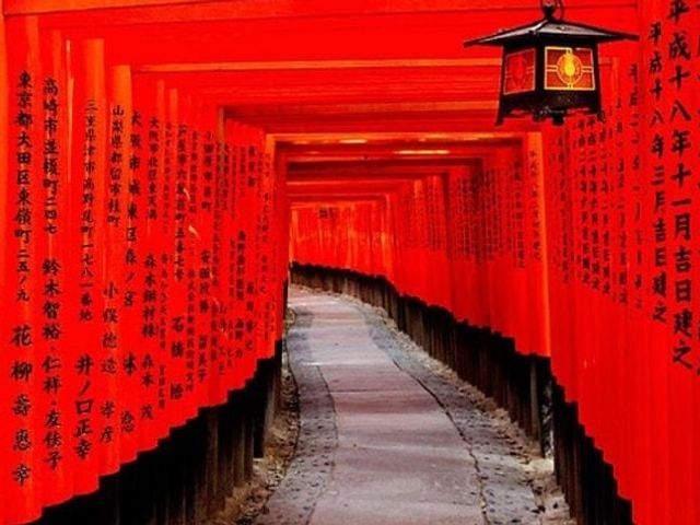 Kyoto & Nara Day Tour with Fushimi Inari Shrine, Arashiyama, and Nara Park from Kyoto with Lunch
