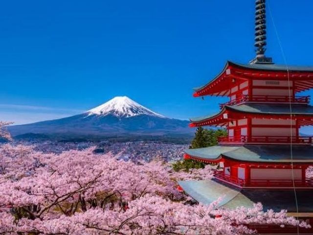 Mt. Fuji Bus Tour from Tokyo with Chureito Pagoda and Saiko Iyashi-no-Sato