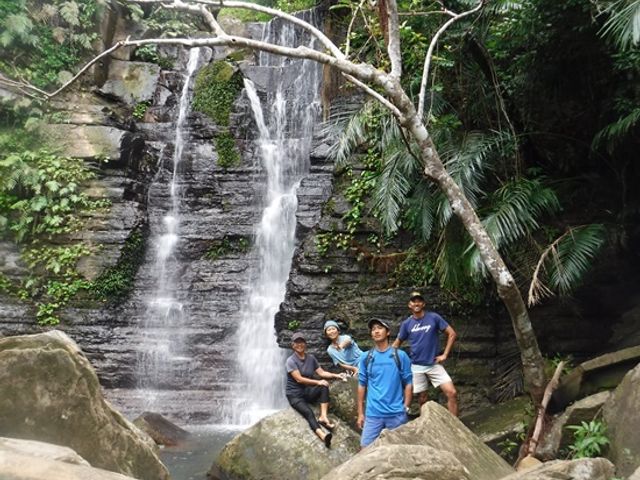 Iriomote Jungle Trekking: Rare Wildlife & Summer Stream Playing [AM/PM / Pick-up]