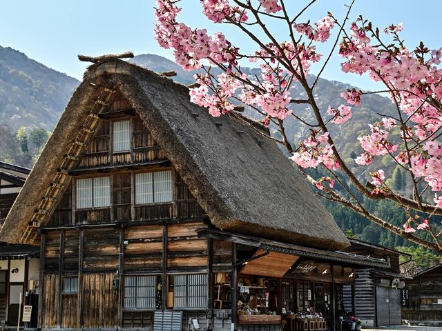 Nagoya Private Charter Tour to Shirakawa-go and Takayama with Pick-Up Options