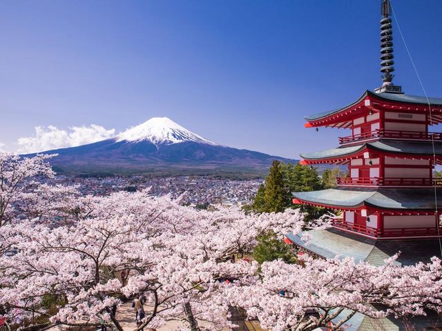 Tokyo 1-Day Fuji View Tour: Explore Kawaguchiko & Oshino Hakkai <Daily/Eng/Chi>