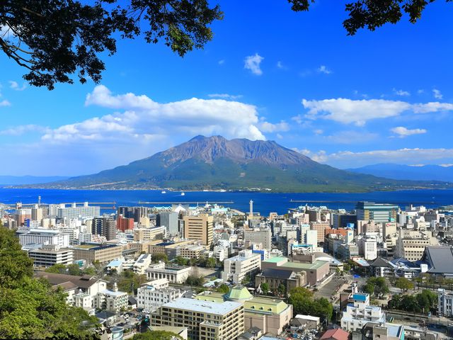 Kagoshima Private Charter Sightseeing from/to Marine Port Kagoshima