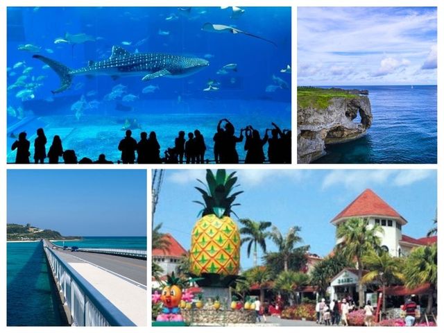 Okinawa Day Tour to Churaumi Aquarium, Cape Manzamo, and Nago Pineapple Park
