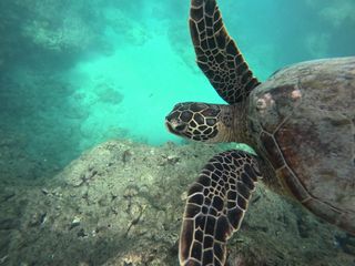 プラン説明写真1