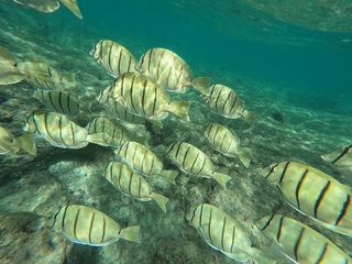 プラン説明写真1