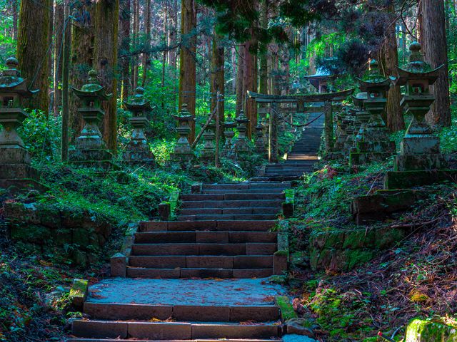 Private Sightseeing Taxi: Explore “ONE PIECE Statues” and Kumamoto’s Attractions
