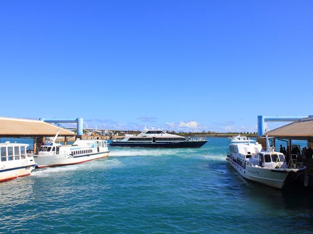Ishigaki Private Taxi Tour with Customizable Sightseeing from Ishigaki Port
