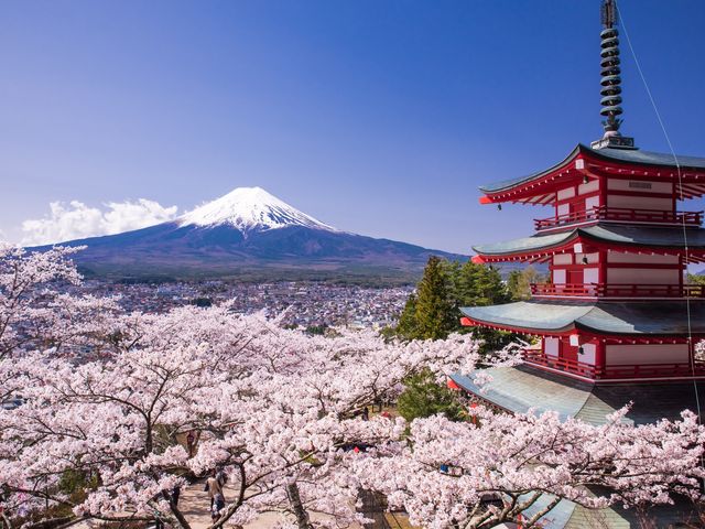 Mt. Fuji 5th Station Private Taxi Tour from Yokohama Port 10 Hours with Flexible Drop Off