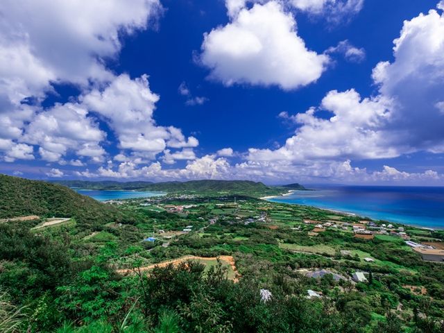 Amami Oshima Tour by Private Taxi with Northern Nature and Culture Highlights