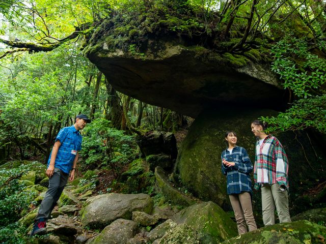 2-Day Private Trekking Tour: Jomon Sugi & Shiratani Unsuikyo (Moss Forest & Taikoiwa Rock)