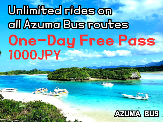 Ishigaki Island 1-Day Bus Free Pass - Unlimited rides for 24 hours