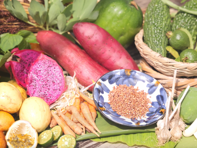 Taketomi Island Vegan Tour: 'Inochigusa' cuisine & traditional village walk (3-4 hours / All ages)