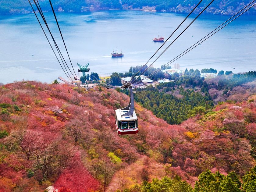 Mt. Fuji Tour from Tokyo with Gotemba Shopping | VELTRA