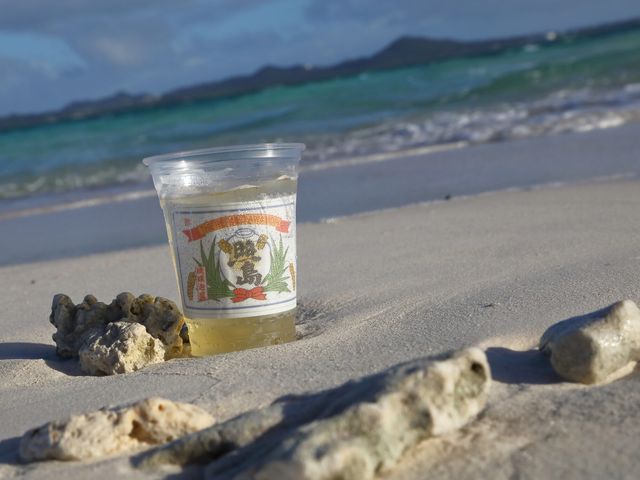 Iheya Island Rice & Awamori Experience: Farming & Brewery Tour (3 hrs, Shipping Included)