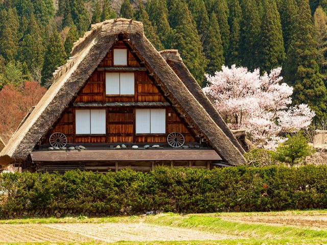 Explore Shirakawago’s Iconic Gassho-Style Houses in This World Heritage Village