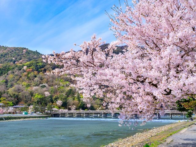 Kyoto & Nara Day Tour from Kyoto Fushimi Inari Arashiyama with Choice of Lunch