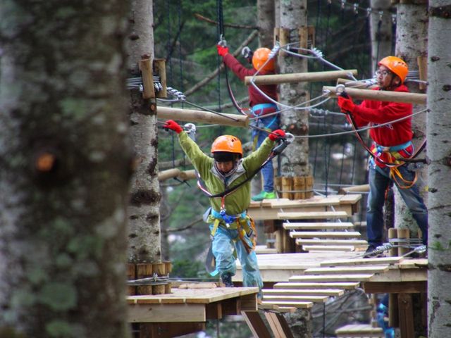 Niseko Tree Adventure Experience Fun for Adults & Kids with Zipline & Bungee Jump