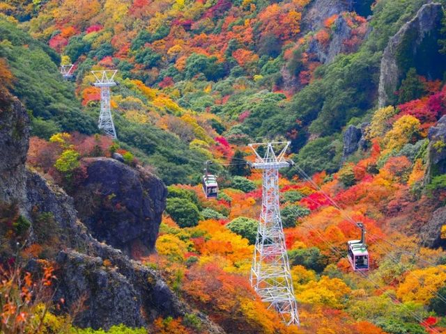 Shodoshima Island 1 Day Bus Tour from Takamatsu