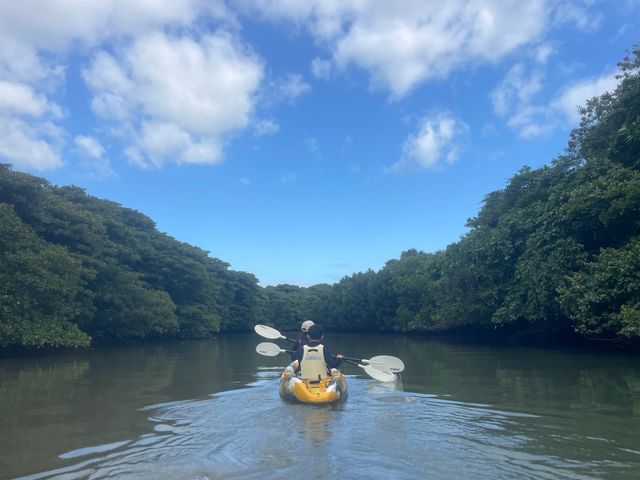 Ishigaki Island Mangrove Kayaking