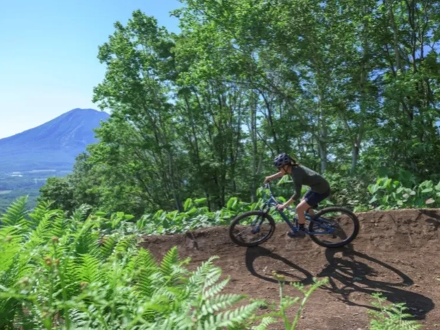 [Niseko] MTB Rental & 30-Min Lesson: Ride summer slopes! Perfect for beginners & kids.